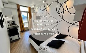 Studio climatisé face Loire et château le 4-5